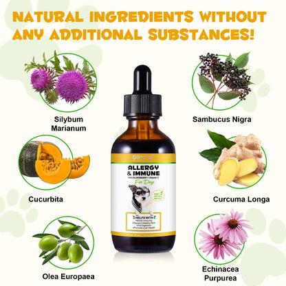 Oimmal Allergy Immune with Elderberry Vitamin C Help with Boost Immunity Support Healthy Skin Promote Liver Health Aid Digestion
