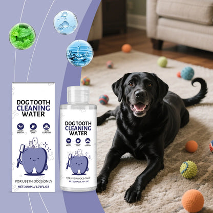 Drinkable Pet Water Additive Dental Care for Dogs Cats Natural Oral Hygiene Freshens Breath Removes Plaque Control Safe Gentle