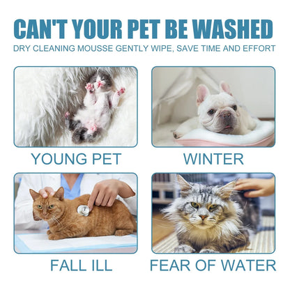  Pet Dry Shampoo Foam, No Water Bath for Pets, Odor Stain Bacteria Itch Relief, Hypoallergenic Coconut Chamomile, Soft Fur, Quic
