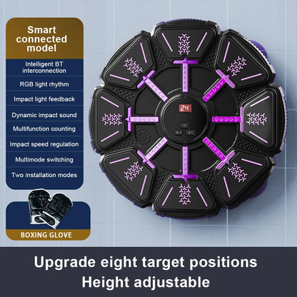 Bluetooth Wall Mounted Boxing Target Punching Equipment