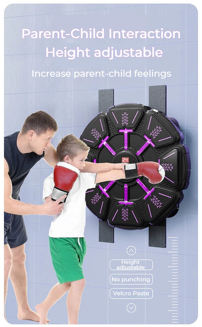Bluetooth Wall Mounted Boxing Target Punching Equipment