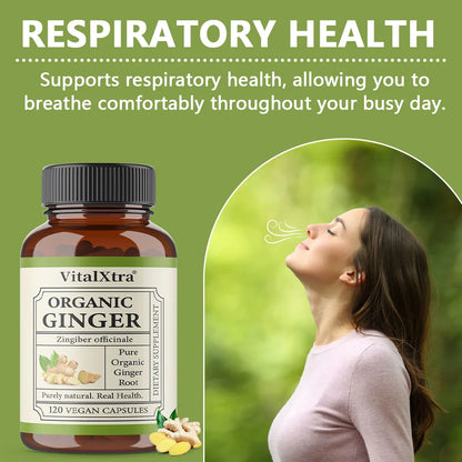Organic Ginger Root Capsules 950 Mg-Natural Ginger Supplement That Boosts Immunity and Digestion, and Promotes Blood Circulation