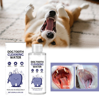 Drinkable Pet Water Additive Dental Care for Dogs Cats Natural Oral Hygiene Freshens Breath Removes Plaque Control Safe Gentle