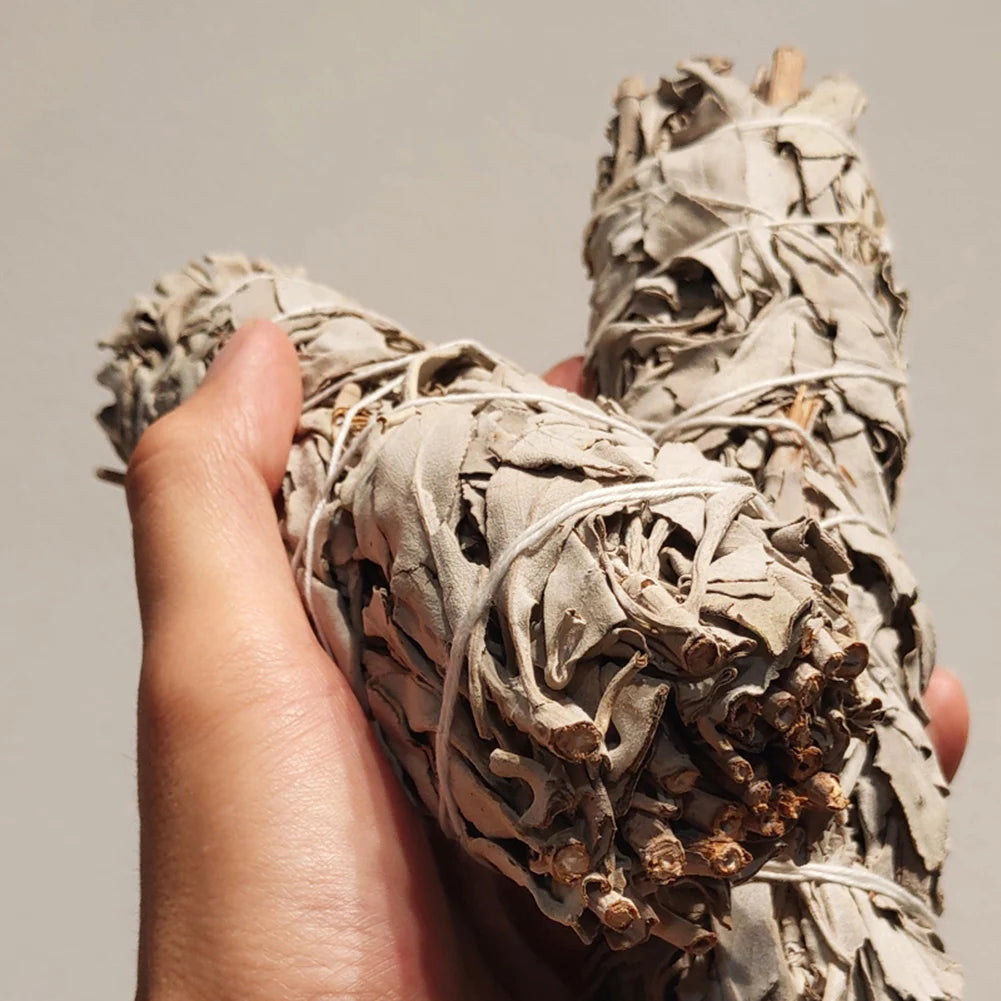 White Sage Bundle