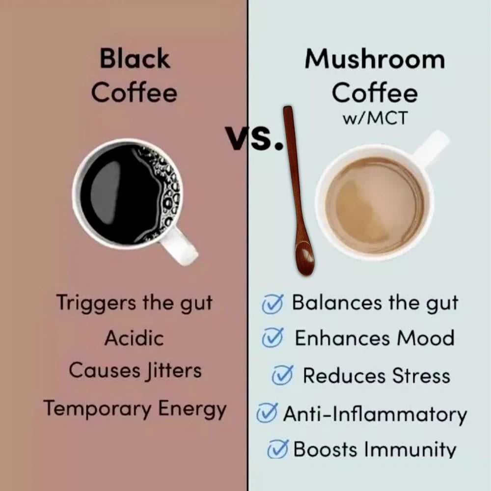 6-in-1 Organic Mushroom Powder - for Brain Health, Improved Focus, Fatigue Resistance and Digestive Support