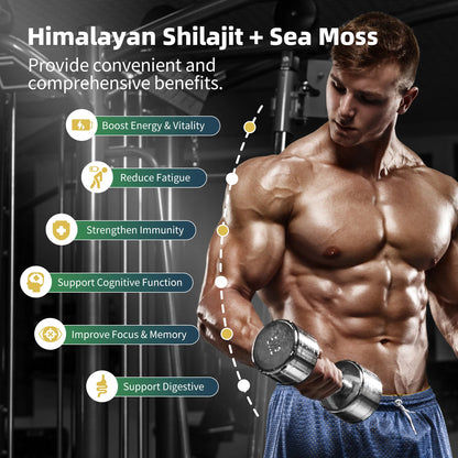 BBEEAAUU Seamoss and Shilajit Multi in 1 Supplement with Black Seed,Ashwagandha,Burdock Energy, Antioxidants and Immune Support