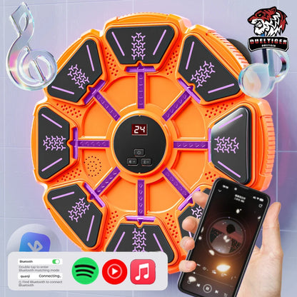 Bluetooth Wall Mounted Boxing Target Punching Equipment
