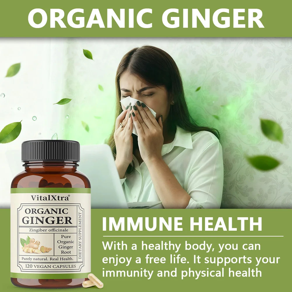Organic Ginger Root Capsules 950 Mg-Natural Ginger Supplement That Boosts Immunity and Digestion, and Promotes Blood Circulation