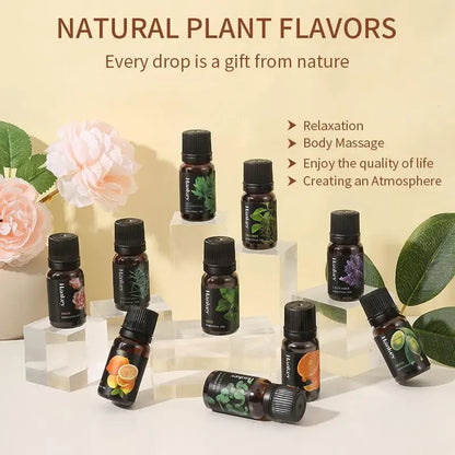 10ML Lavender Rose Lemon Olive Eucalyptus Orange Rosemaxy Wormwood Ginger Green tea Oil