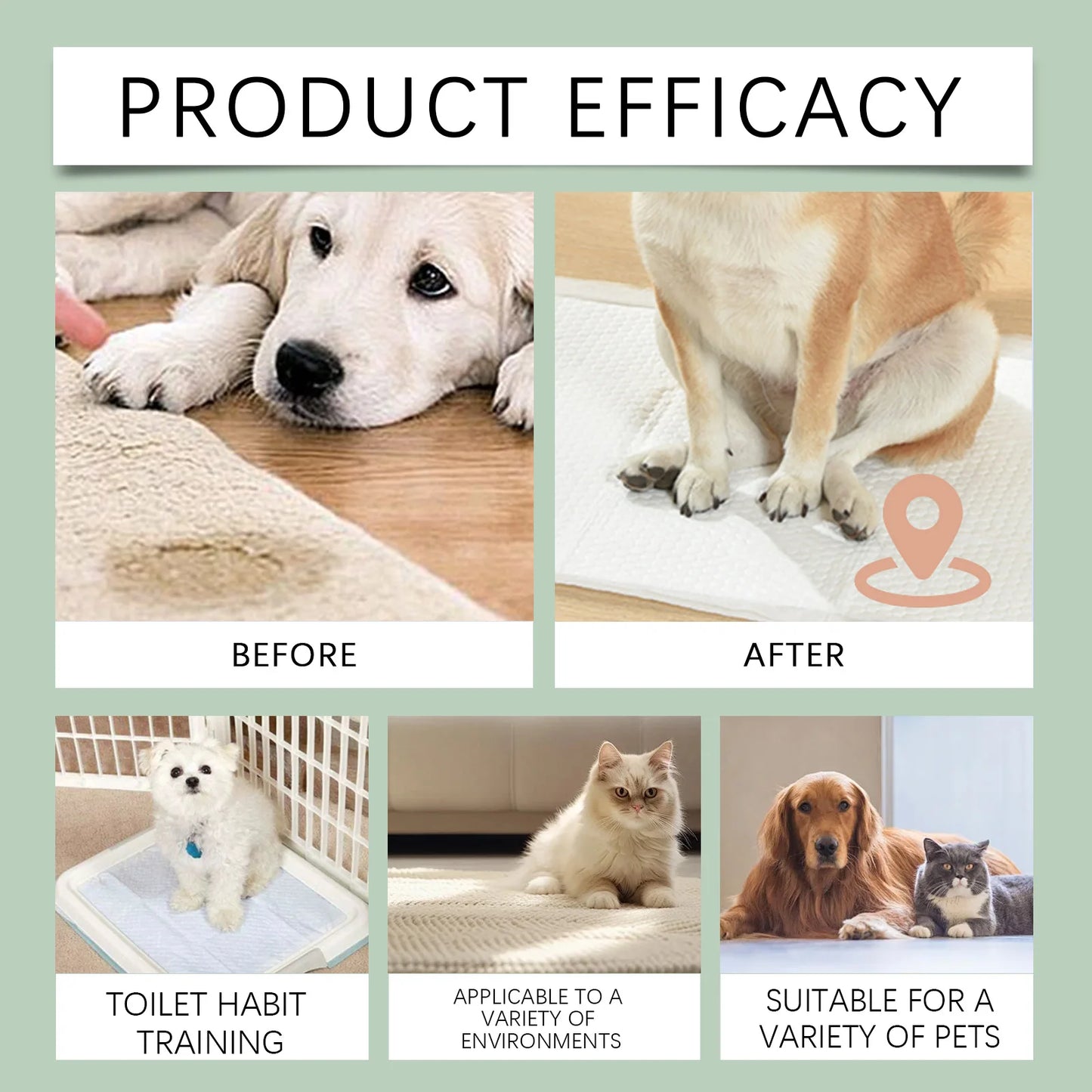 YEGBONG 100ml Pet Potty Training Spray Fast Acting Gentle Formula Urine Marking Behavior Aid Vet Recommended  for Dogs and Cats
