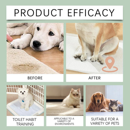 YEGBONG 100ml Pet Potty Training Spray Fast Acting Gentle Formula Urine Marking Behavior Aid Vet Recommended  for Dogs and Cats