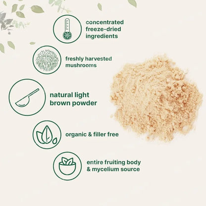 Organic Lion’s Mane Mushroom Powder Supports Brain Focus Energy and Immune Health Great for Smoothies & Coffee 454g Per Bag