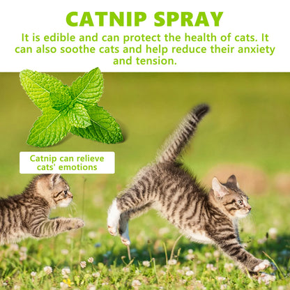 Catnip Spray for Cats - Calms Anxiety & Reduces Stress, Boosts Pet Vitality, Cat Emotional Health & Calming Care Spray