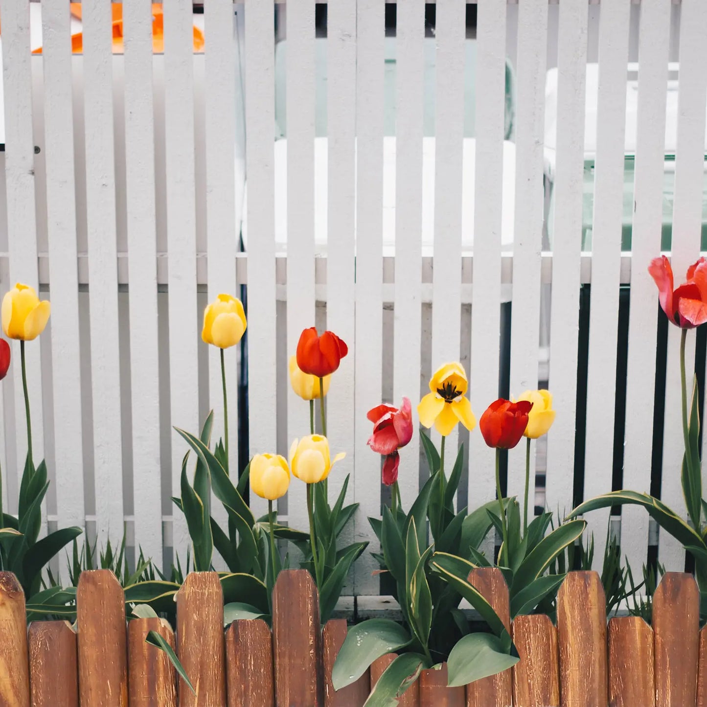 Elegant Wood Garden Edging Border Fence for Yard Landscaping Lawn Divider Decorative Outdoor Environment Enhancement