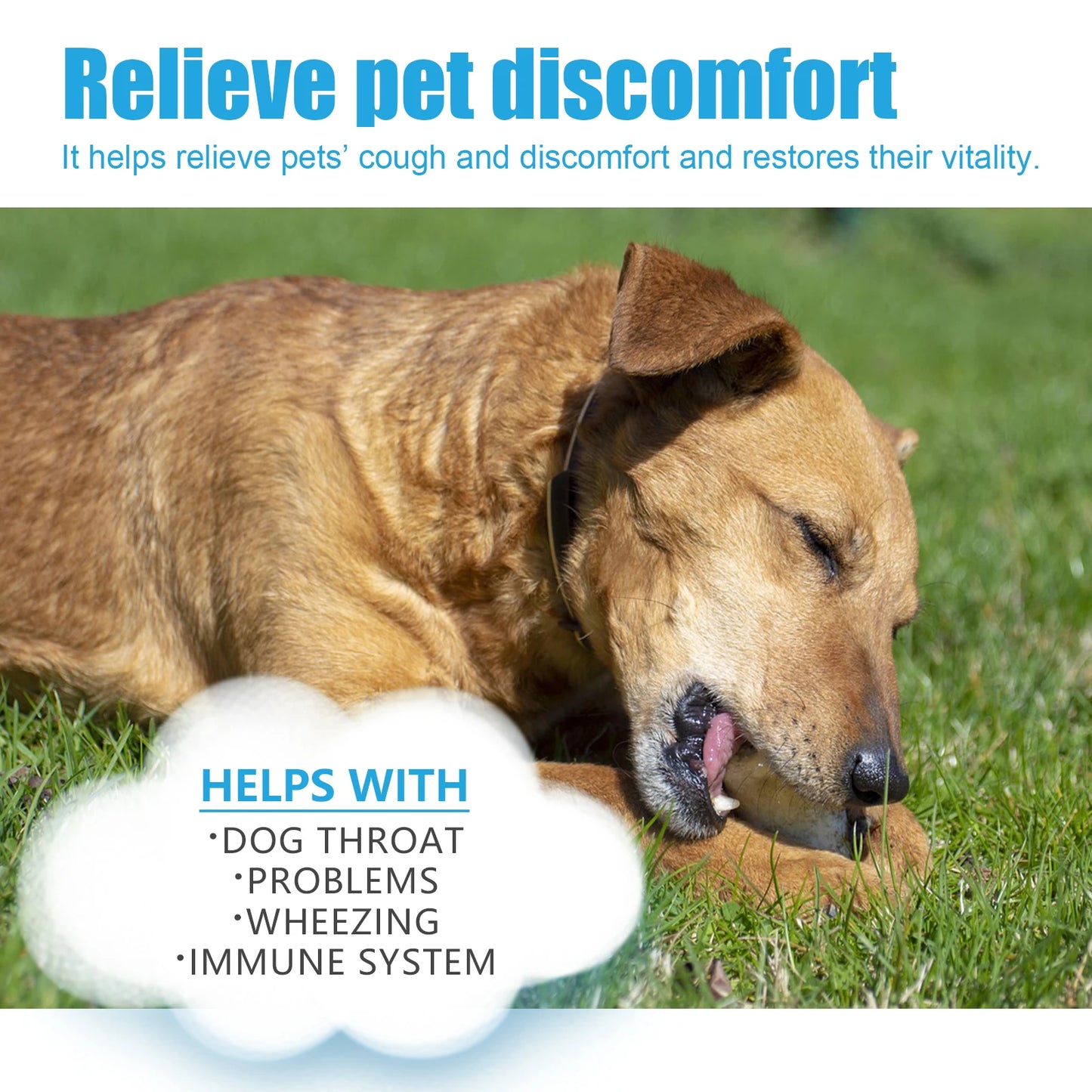 Herbal Drops to Relieve Pet Coughs Relieve Pet Discomfort and Restore Their Vitality Pet Cough and Runny Nose Care
