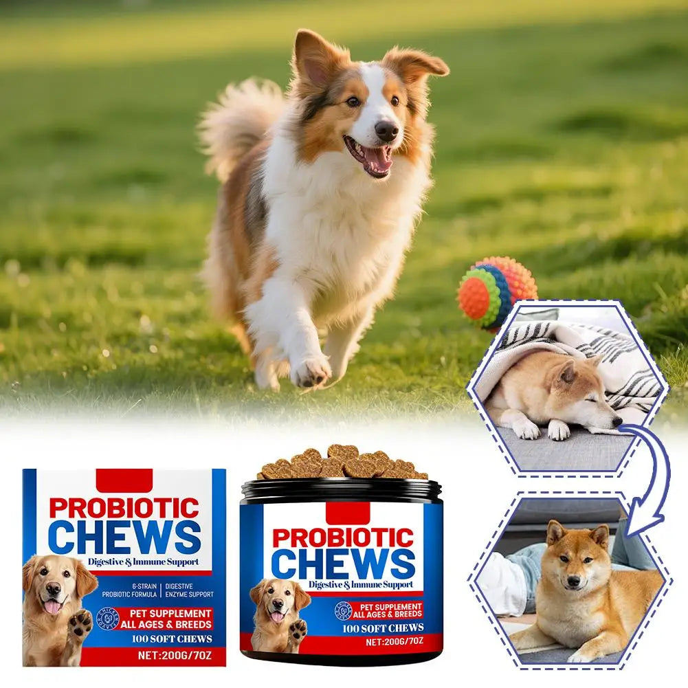 Dog Probiotic Soft Particles Cleaning Products 6 Strains Probiotic Digestive Enzymes Pet Care Supplies For All Ages And Variety