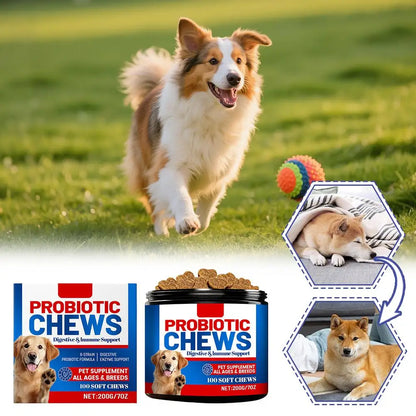 Dog Probiotic Soft Particles Cleaning Products 6 Strains Probiotic Digestive Enzymes Pet Care Supplies For All Ages And Variety
