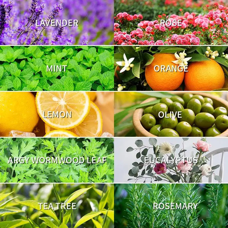 10ML Lavender Rose Lemon Olive Eucalyptus Orange Rosemaxy Wormwood Ginger Green tea Oil