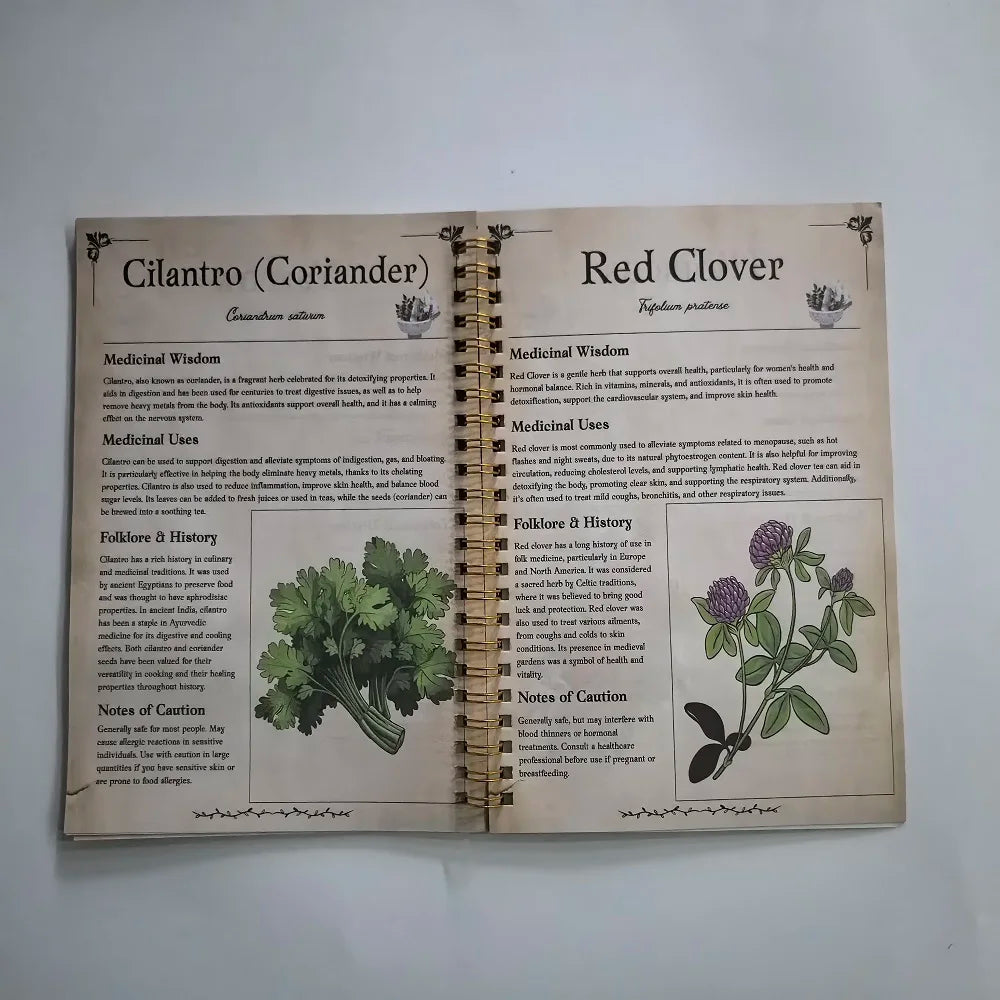 How to Grow Your Own Medicine: The Ultimate Beginner's Guide to Holistic Healing with Natural Remedies and Medicinal Herb book