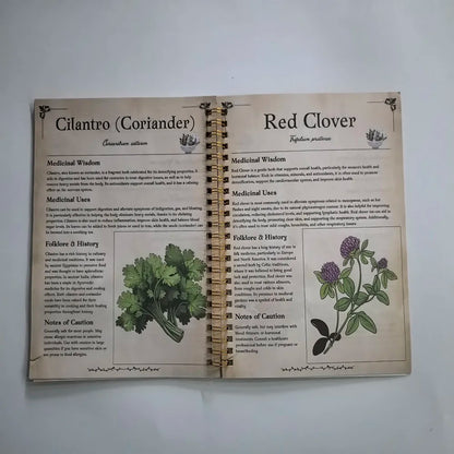 How to Grow Your Own Medicine: The Ultimate Beginner's Guide to Holistic Healing with Natural Remedies and Medicinal Herb book