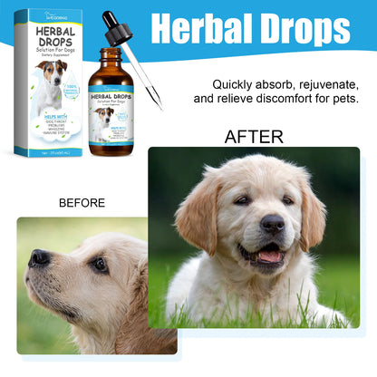Herbal Drops to Relieve Pet Coughs Relieve Pet Discomfort and Restore Their Vitality Pet Cough and Runny Nose Care