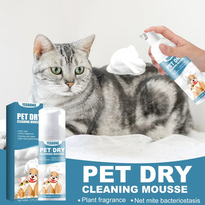  Pet Dry Shampoo Foam, No Water Bath for Pets, Odor Stain Bacteria Itch Relief, Hypoallergenic Coconut Chamomile, Soft Fur, Quic