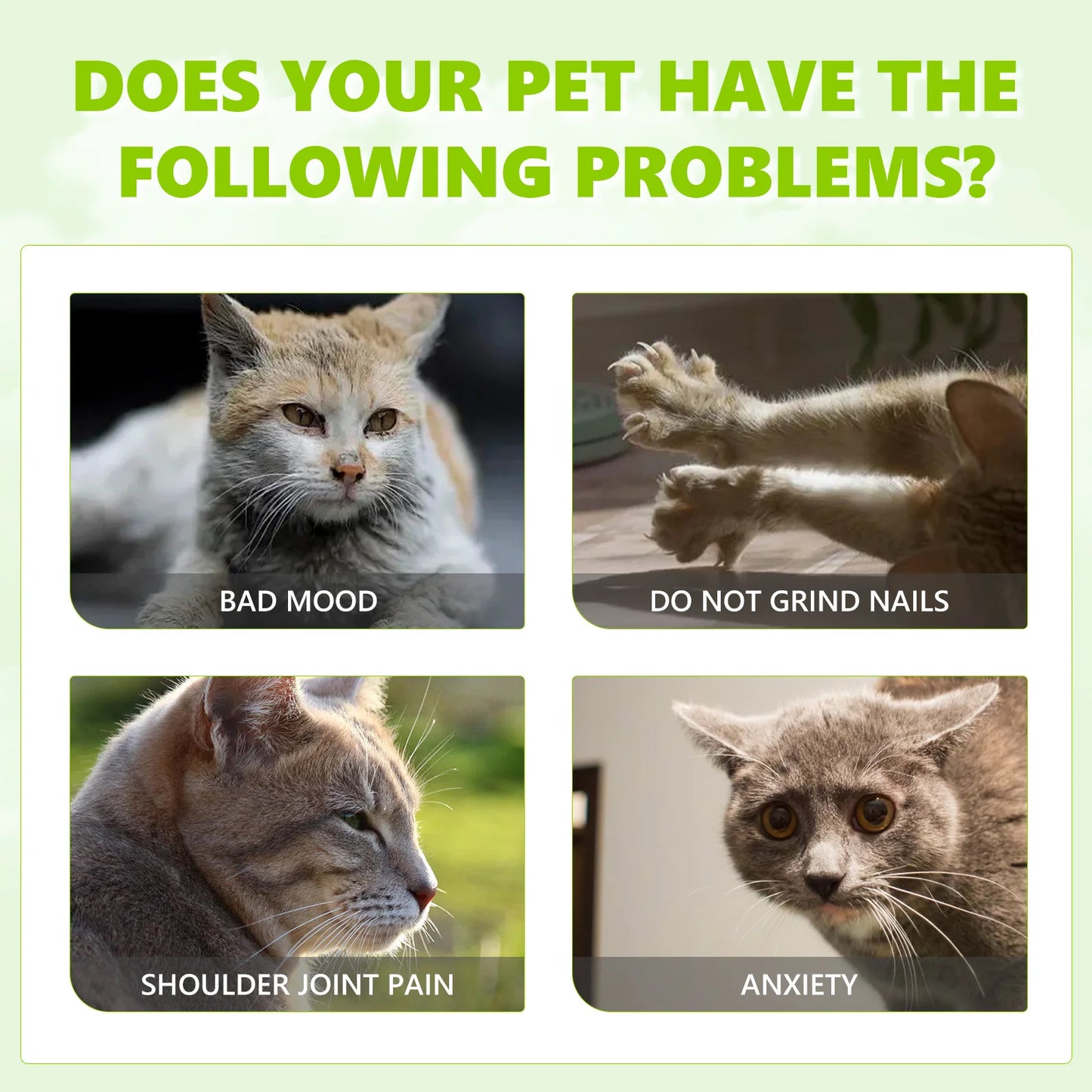 Catnip Spray for Cats - Calms Anxiety & Reduces Stress, Boosts Pet Vitality, Cat Emotional Health & Calming Care Spray