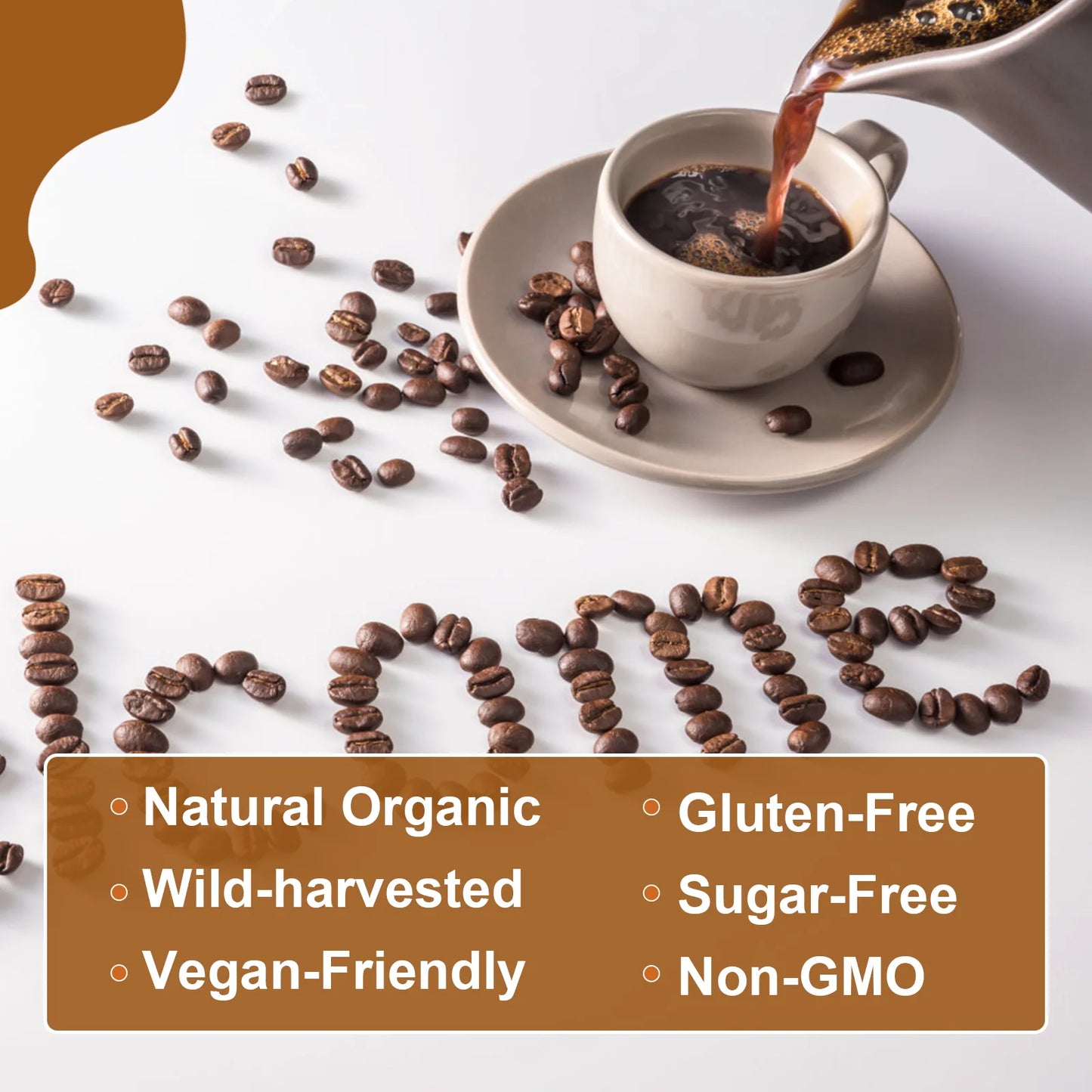 BEWORTHS Mushroom Coffee Supplement Ganoderma Lucidum Cordyceps Sinensis Energy Support Mental Clarity Brain Booster Antioxidant