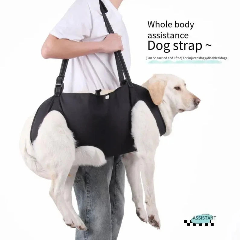 Elderly Disabled Pets Mobility Aid Vest with Handle Walking AssistanceNew Dog Support Harness Adjustable Rehabilitation Sling