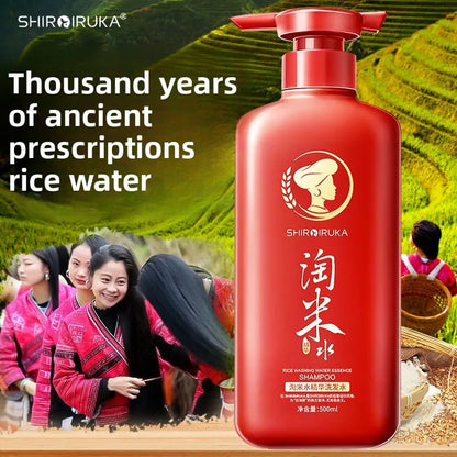 500ml Wash Rice Water Hair Shampoo Anti Dandruff Shampoo Professional Hair Care Clean Scalp and Improve Scalp Environment