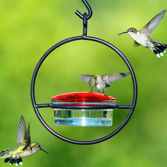 Circular Hanging Hummingbird Feeder Attract Birds Bird Feeder with Red Plastic Bowl for Outside Garden Backyard Patio Deck