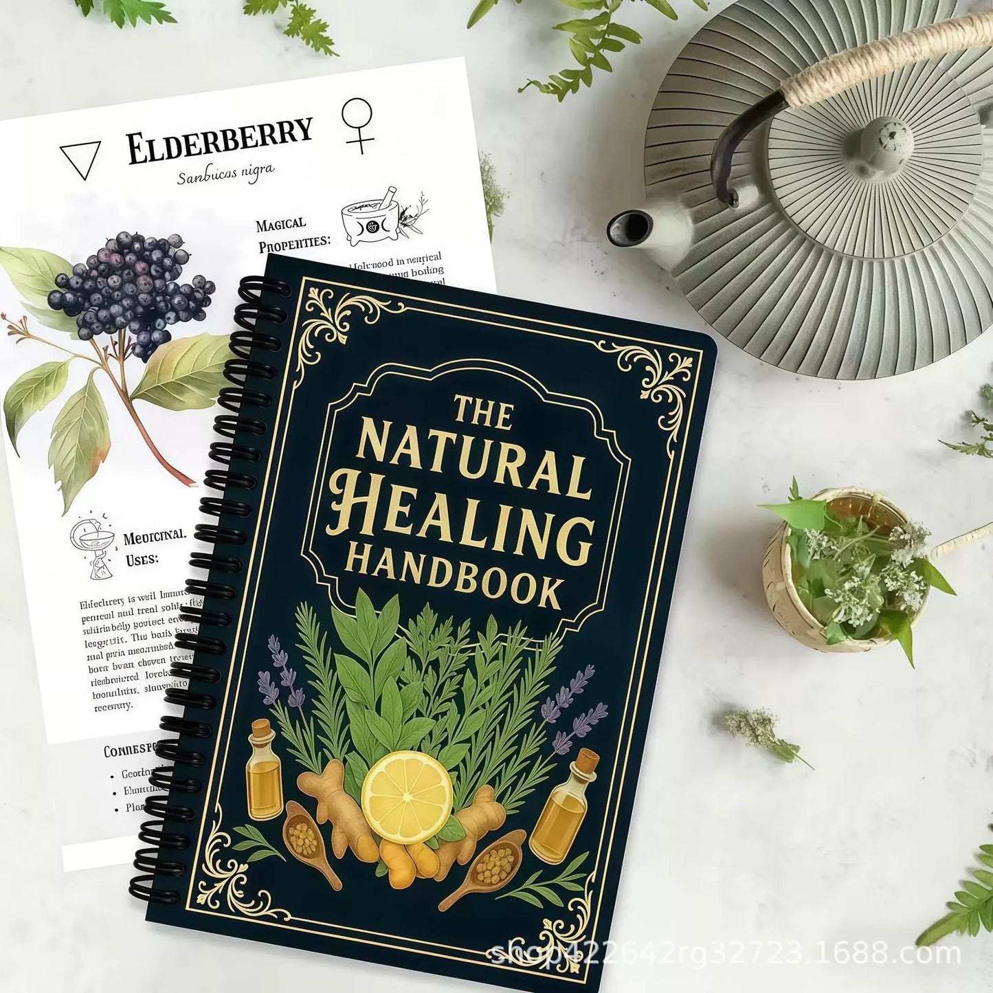 Natural Healing Handbook By Luna Filby English Edition Health Guide For Holistic Wellness And Self Care Practitioners