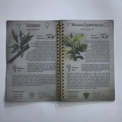 How to Grow Your Own Medicine: The Ultimate Beginner's Guide to Holistic Healing with Natural Remedies and Medicinal Herb book