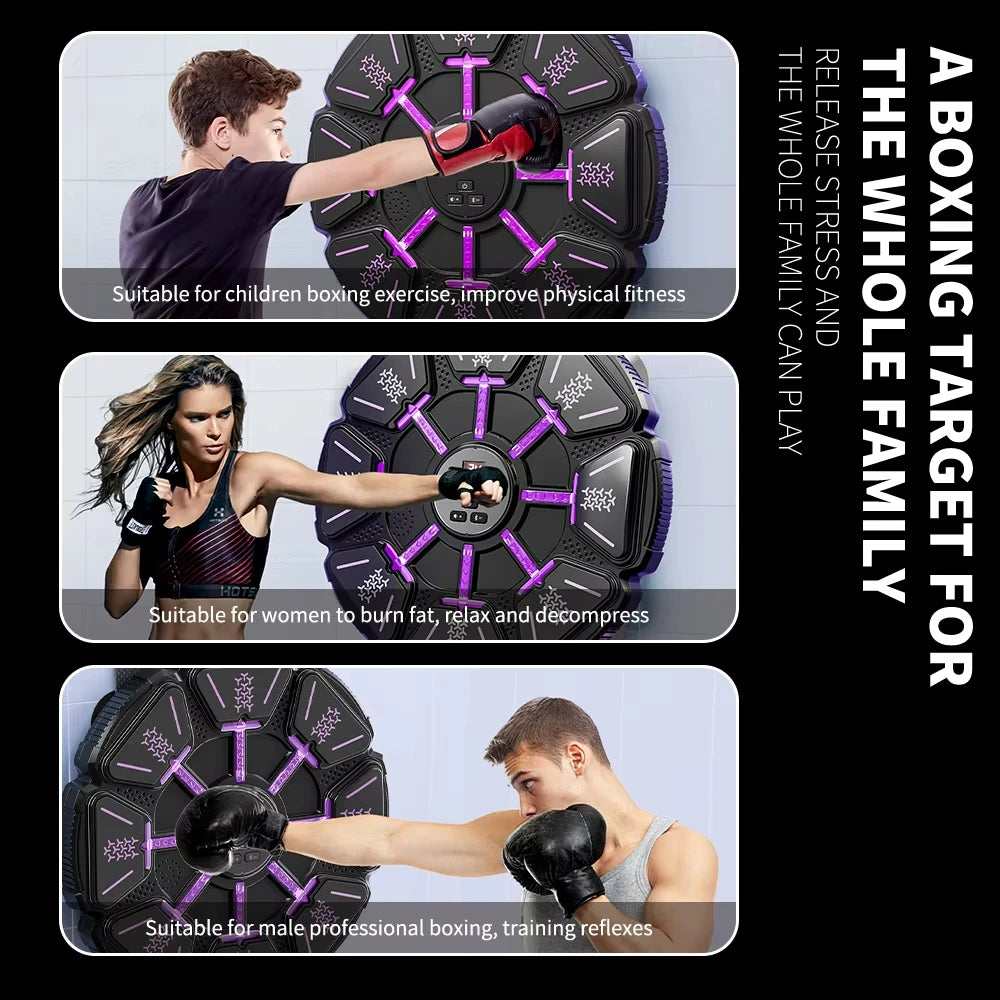 Bluetooth Wall Mounted Boxing Target Punching Equipment