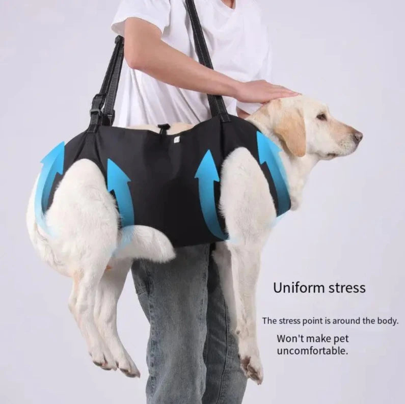Elderly Disabled Pets Mobility Aid Vest with Handle Walking AssistanceNew Dog Support Harness Adjustable Rehabilitation Sling