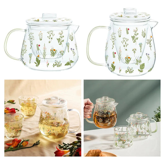 Tea Blooming Teapot Transparent with Tea Strainer Tea Kettle Loose Leaf Teapot for Home Birthday Party Anniversary Gift