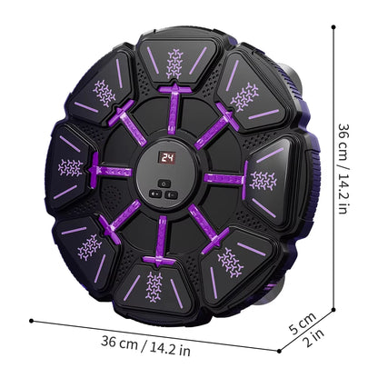 Bluetooth Wall Mounted Boxing Target Punching Equipment